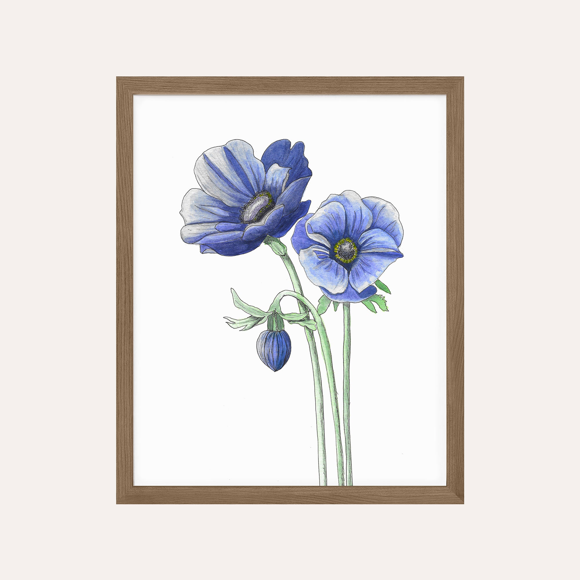 Blue Anemone Art Print