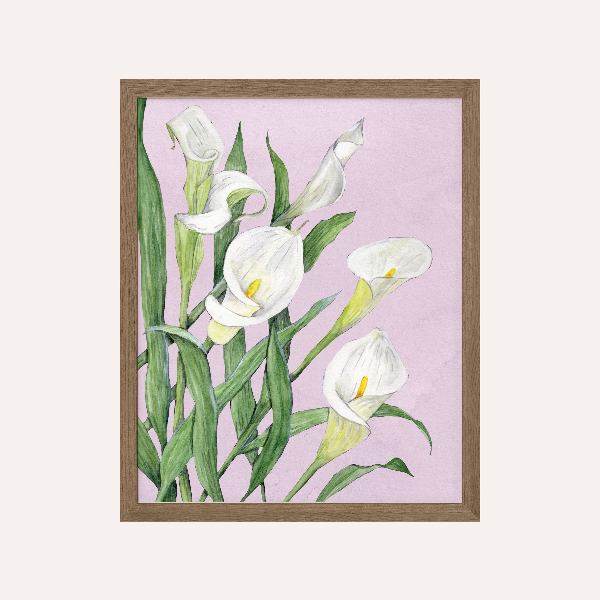 Calla Lillies Art Print