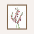 Pink Foxglove Art Print