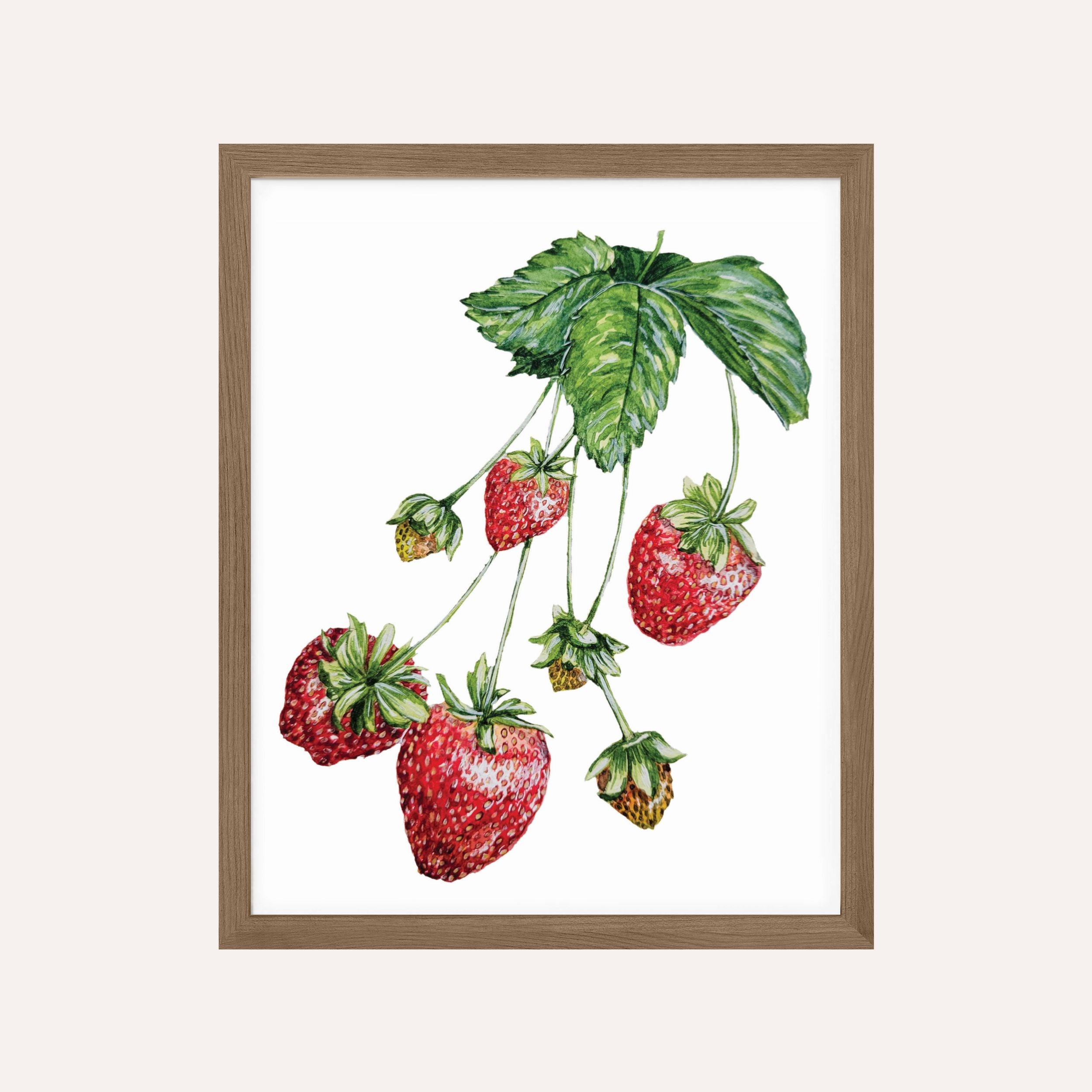Strawberry Vine Art Print