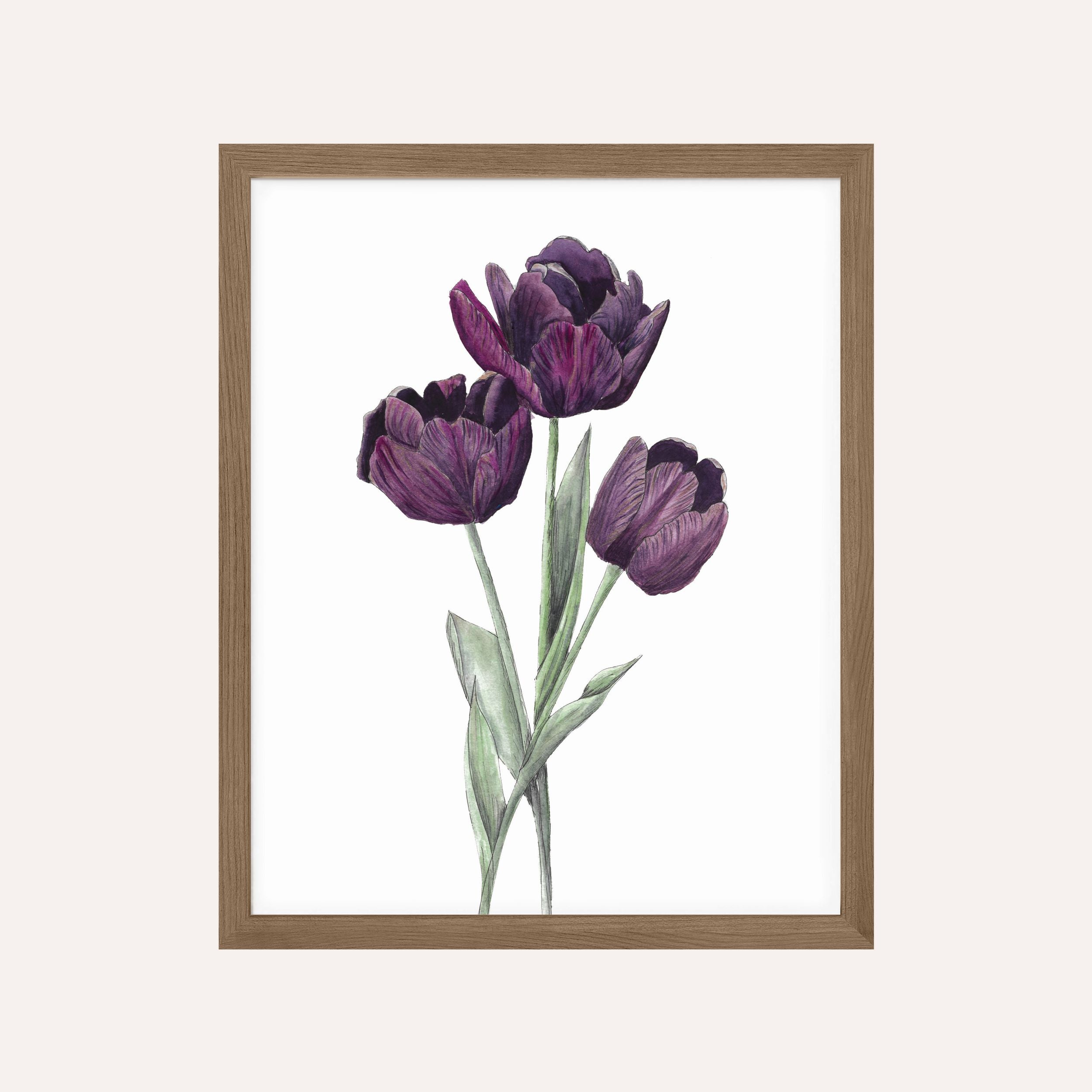 Purple Tulip Art Print