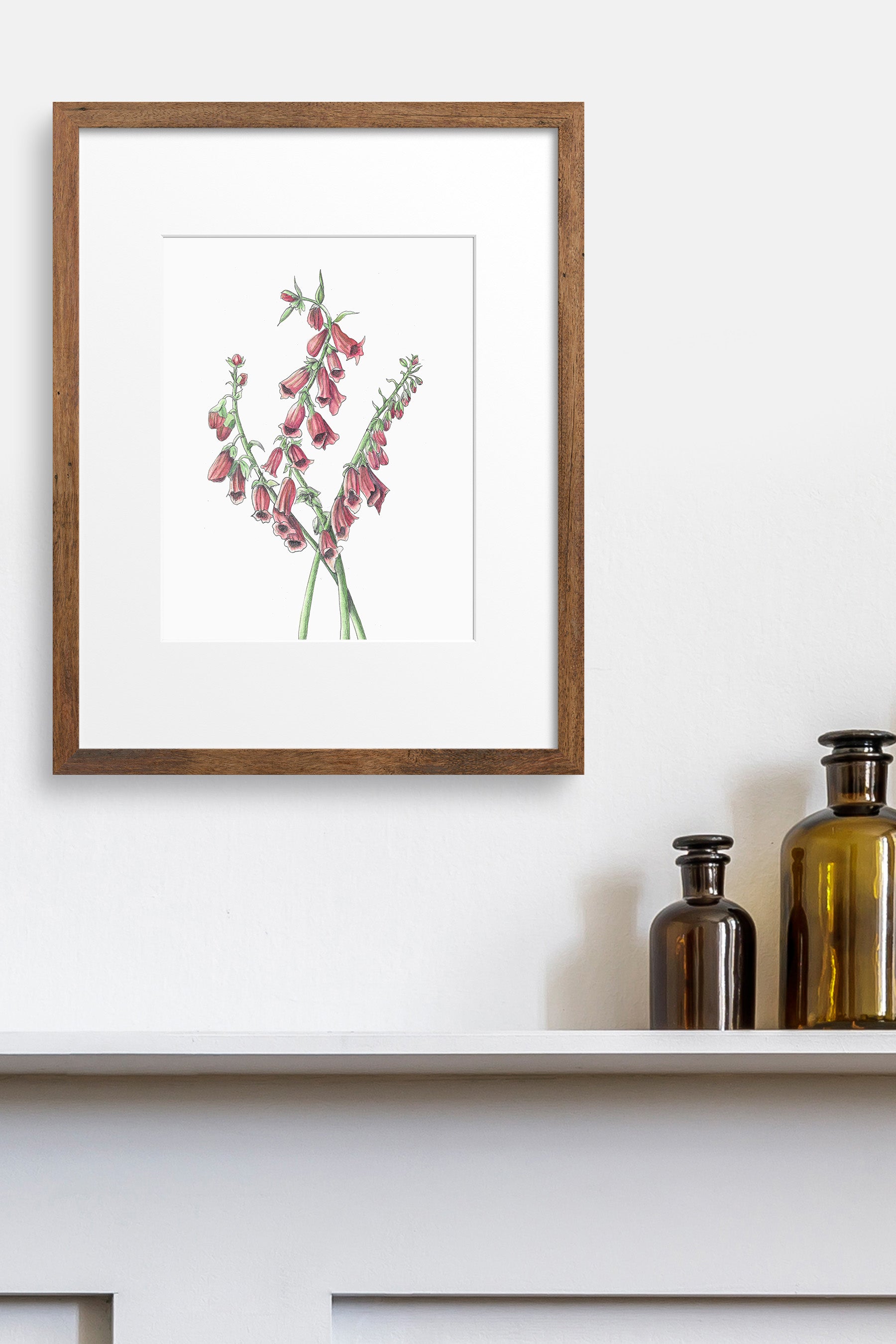 Pink Foxglove Botanical Art Print