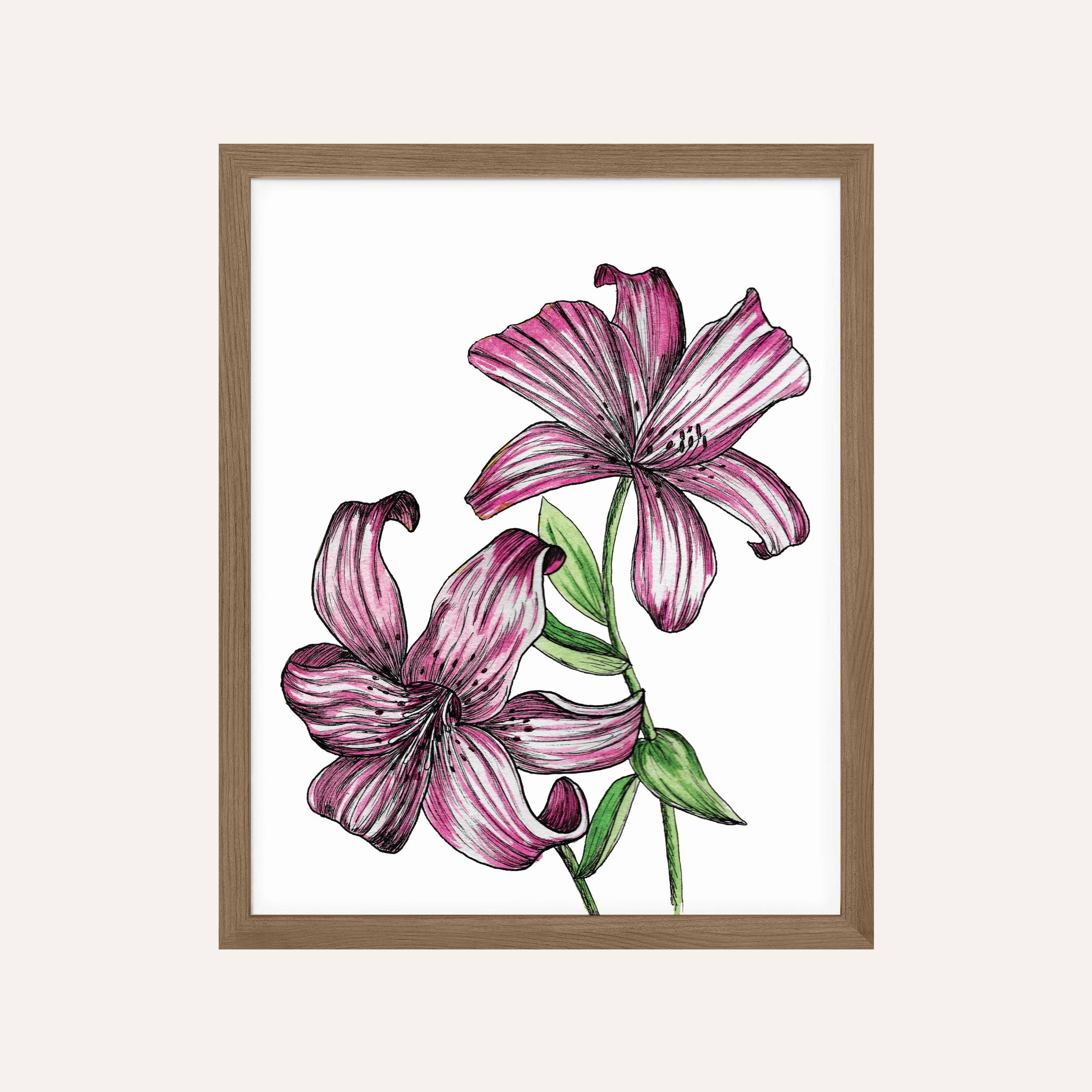 Stargazer Lily Art Print