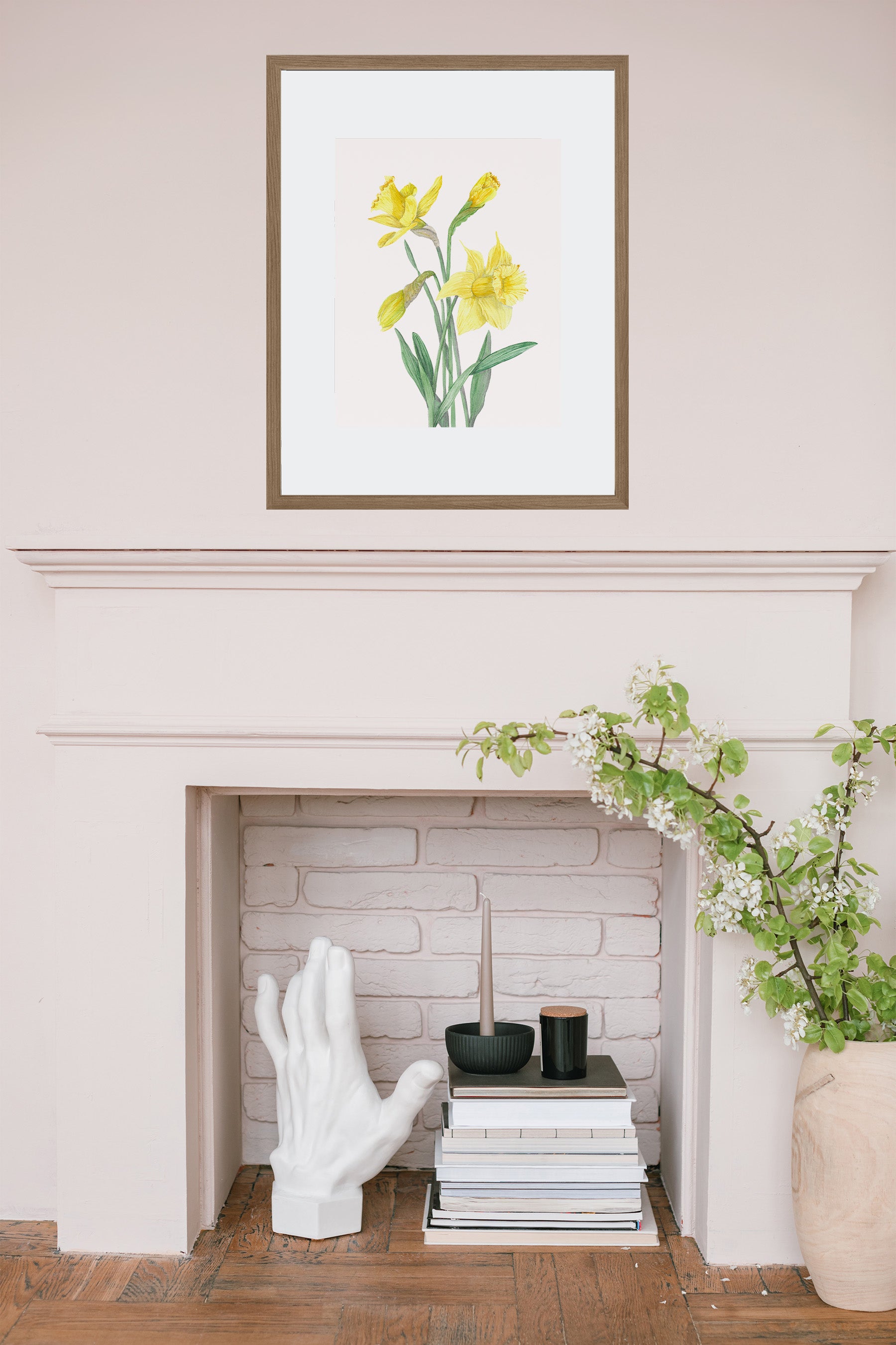 Daffodil Botanical Art Print